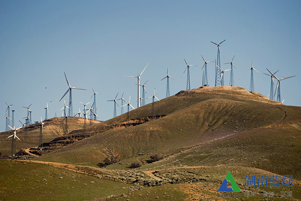 乐竞在线注册乐竞（中国）承接风电场建设项目咨询总包服务
